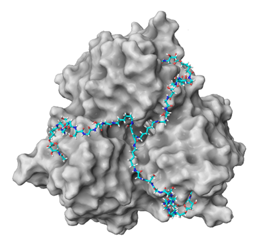 Development of novel concepts for drugs against H5N1 influenza