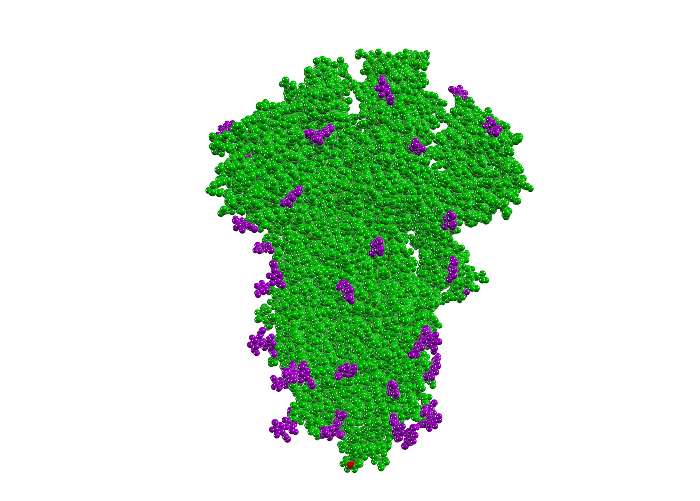 Structure of the spike protein of SARS-2 in space filling respresentation