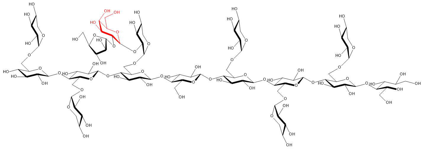  structure of xyloglucan